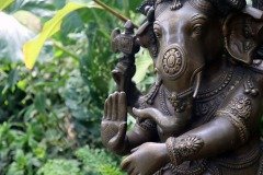 IMG_0387